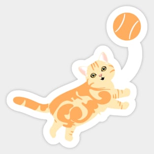 Playing American Shorthair Cat - Orange Sticker